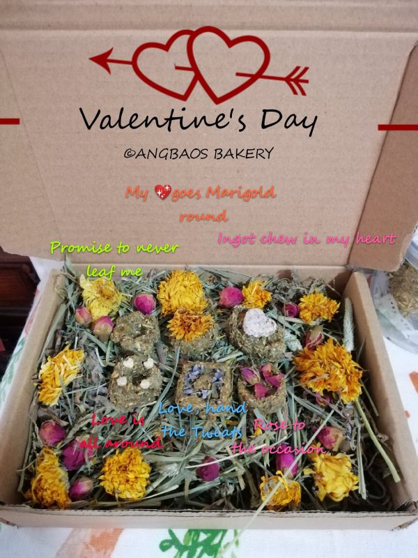 Bunlentine s Day Gift Set on Sale