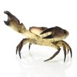 Missed a Clause - Limited Edition Bronze Crab Online