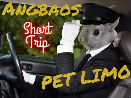 PET LIMO BOOKING Online now