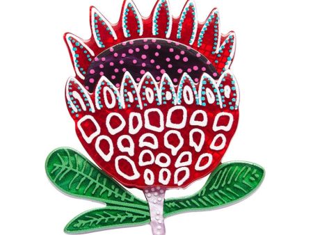 Erstwilder  Prophetic Protea  Brooch with Gift Box ~Designed in Melbourne~ Online now