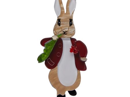 Erstwilder  Benjamin Bunny  Beatrix Potter Brooch with Gift Box Online