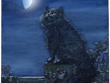 The Cat and the Moon- Limited Edition Print For Cheap