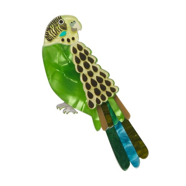 Erstwilder  Flossie the Budgie  Brooch with Gift Box Fashion