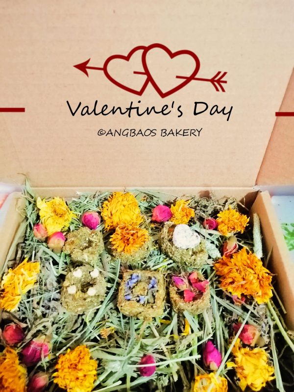 Bunlentine s Day Gift Set on Sale