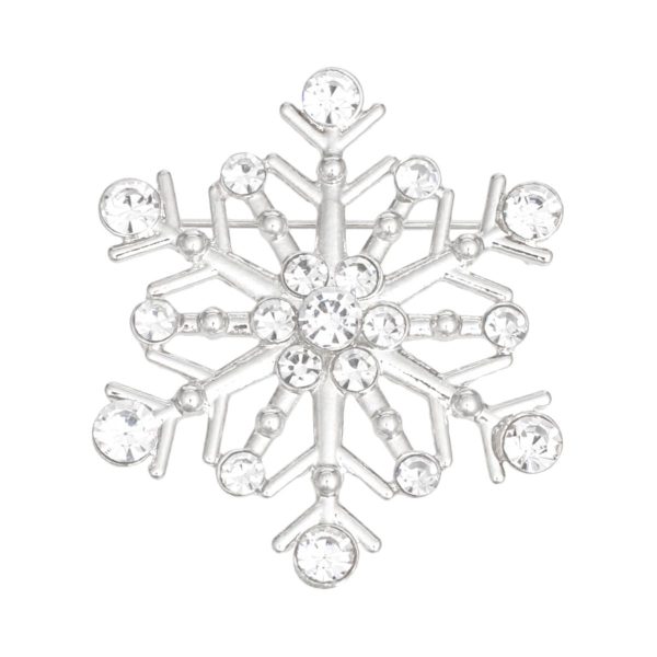 Brooch Stellar Snowflake Silver Pin for Women For Sale