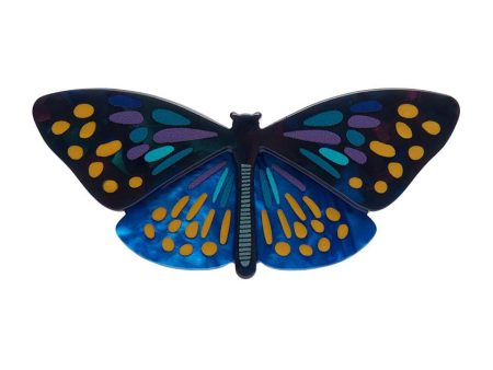 Erstwilder  Set Yourself Free Butterfly  Hair Clip Barrette with Gift Box Online