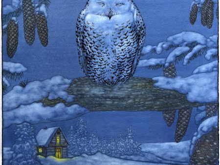 The White Owl - Limited Edition Print Discount