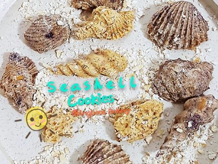 Seashell Cookies (Pre Order) Supply