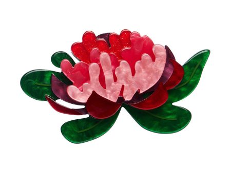 Erstwilder Seen From Afar Waratah Flower Brooch ~Australiana Collection~ Cheap