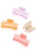 Large Jelly Claw Clip • Set of 4 Online Hot Sale